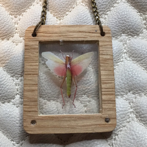 Framed locust oddity necklace - Picture 1 of 1